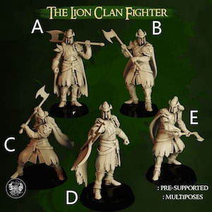 D&D Hochelfe Löwe Krieger | Dungeons and Dragons | 28 mm/32 mm Miniatur | Von der Meisterschmiede