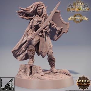 D&D Elf Paladin/Fighter | Merlo Kataa | 3D Printed Resin Miniature | 32mm | By Daybreak Miniatures