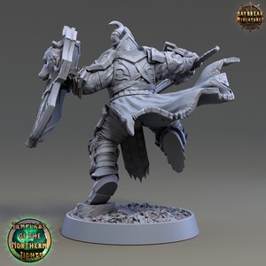 D&amp;D Human Fighter/paladin Johan Firepine 3D Printed Resin Miniature ...