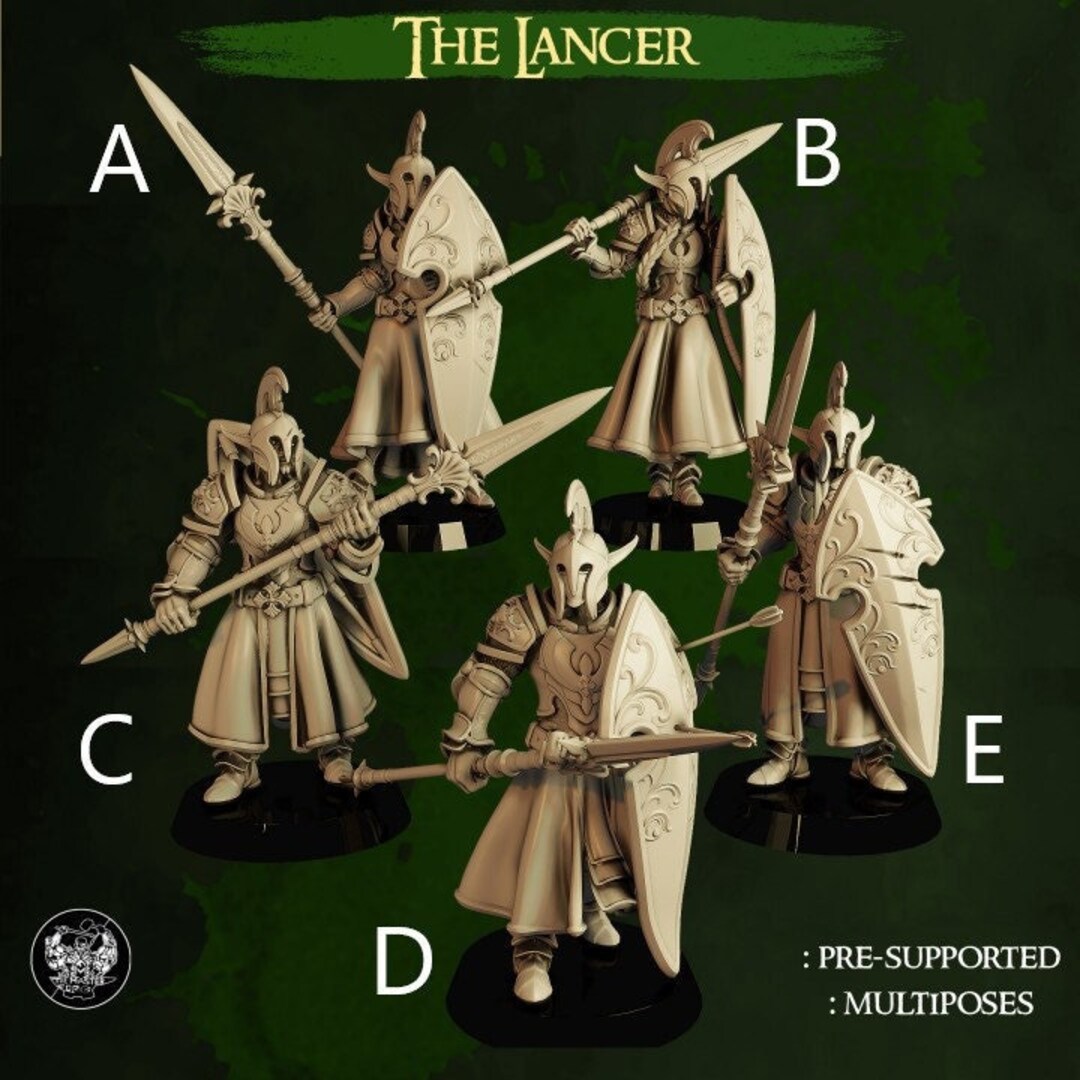 D&amp;D High Elf Fighters/paladins 3D Printed Resin Miniature - Etsy
