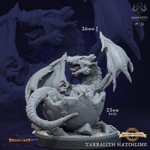Tarralith Hatchling - Baby Dragon | Drakklings Of Dragon Keep | 3D Printed Resin Miniature | By Mammoth Factory