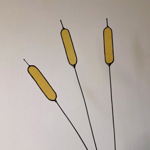 Stained Glass, Yellow Bulrush/Cattail, Everlasting Wild Flowers, Choice of 4 Colours, Ideal Gift or Add to your own Bouquet Prices per Stem.