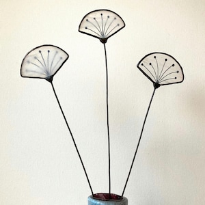 Glasmalerei-Blume, weiße Kuh-Parsley