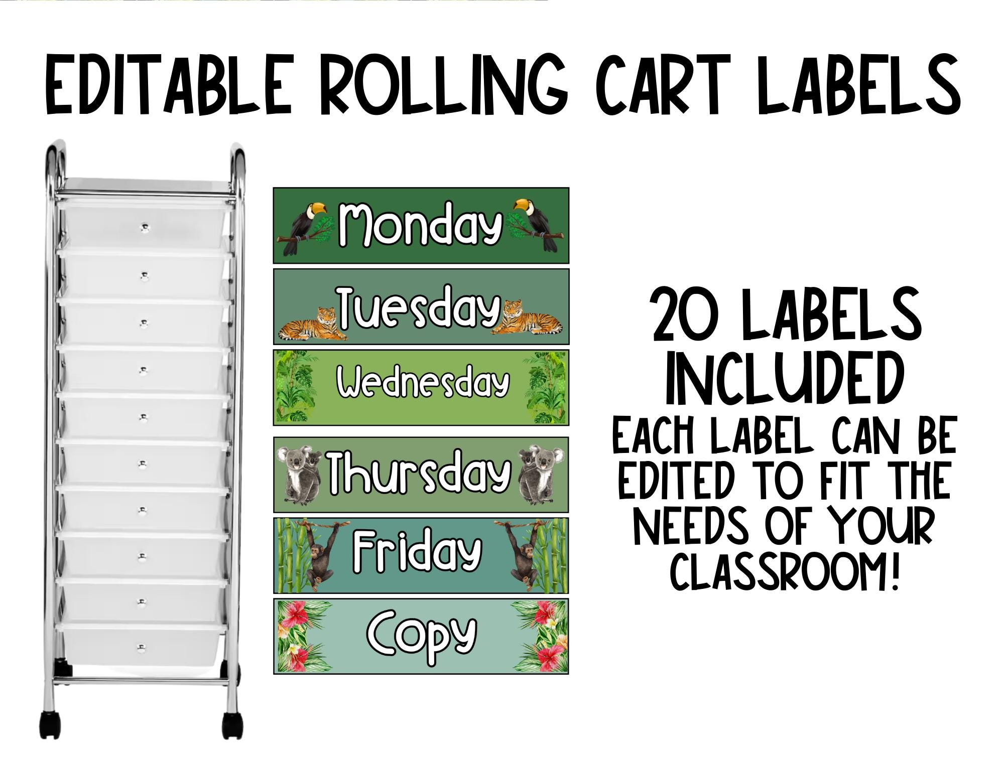 Jungle Bulletin Board Bundle | Safari Classroom Decor | Editable ...