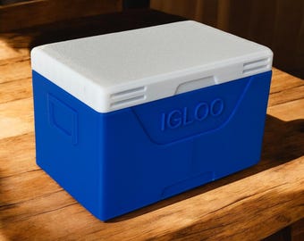 Cooler 100 Deckbox