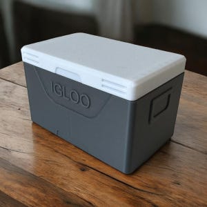 Cooler 100 Deckbox