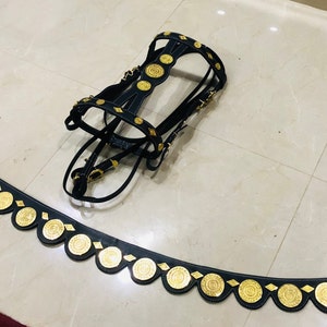 Fancy Baroque Spanish Horse Bridle , Breast Collar & Reins in Pure Black Leather With Golden Brass Ornaments.