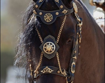 Horse Birdle in vintage Style with Free Fancy Horse Bit as a gift , Fancy horse bridle , Spanish Horse Bridle , Fancy Horse Halter