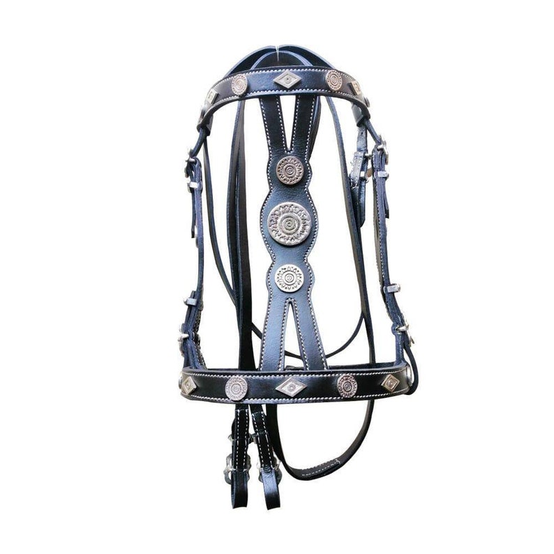 Fancy Horse Bridle With Matching Breast Collar. Baroque Style Etsy