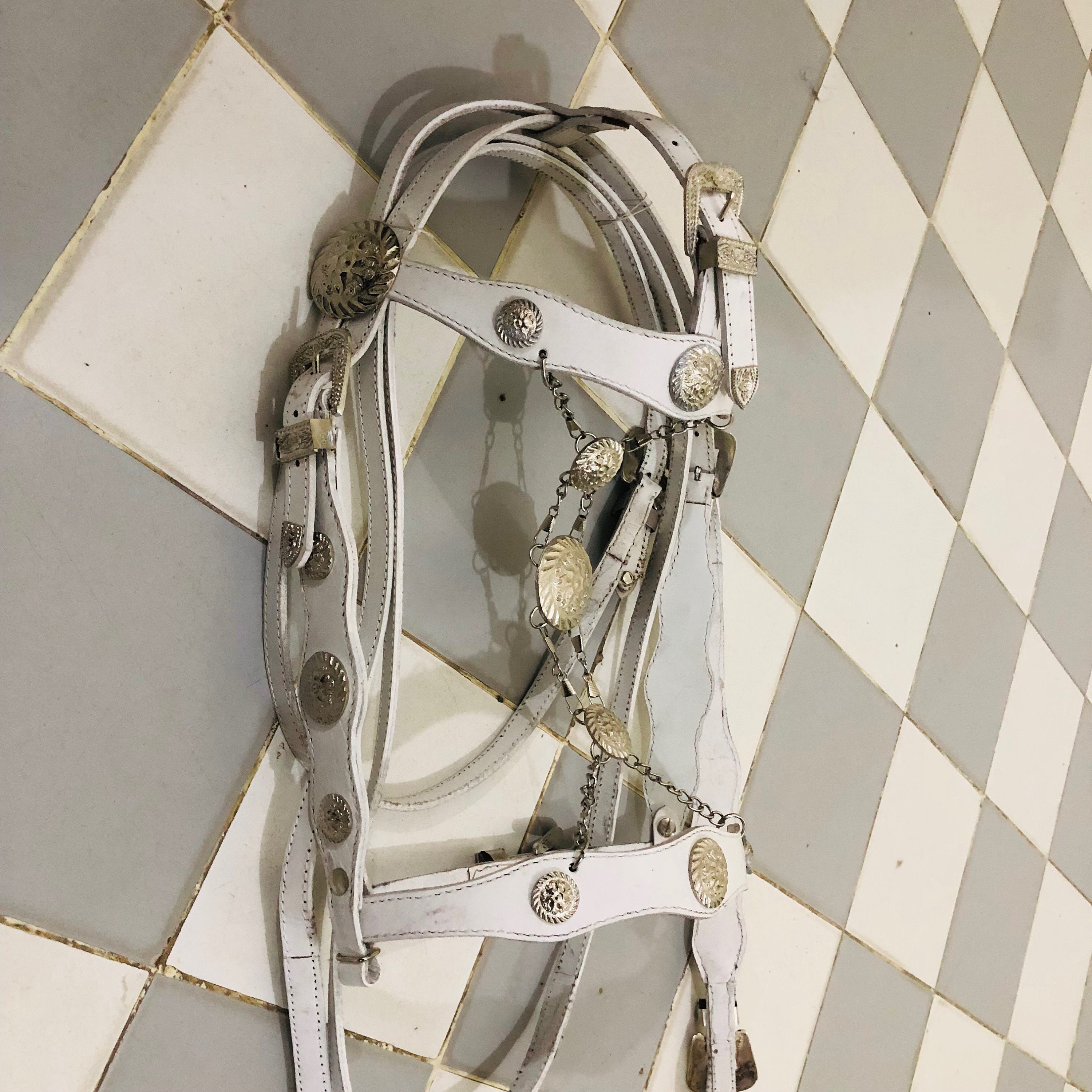 Fancy Spanish Horse Bridle With Reins in White Leather With Silver