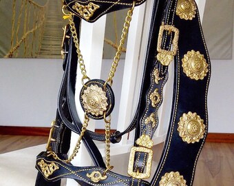 Fancy Horse Bridle with Fancy Breast Collar with Reins With Free Butterfly Horse bit as a Gift. Spanish style Horse Bridle set.