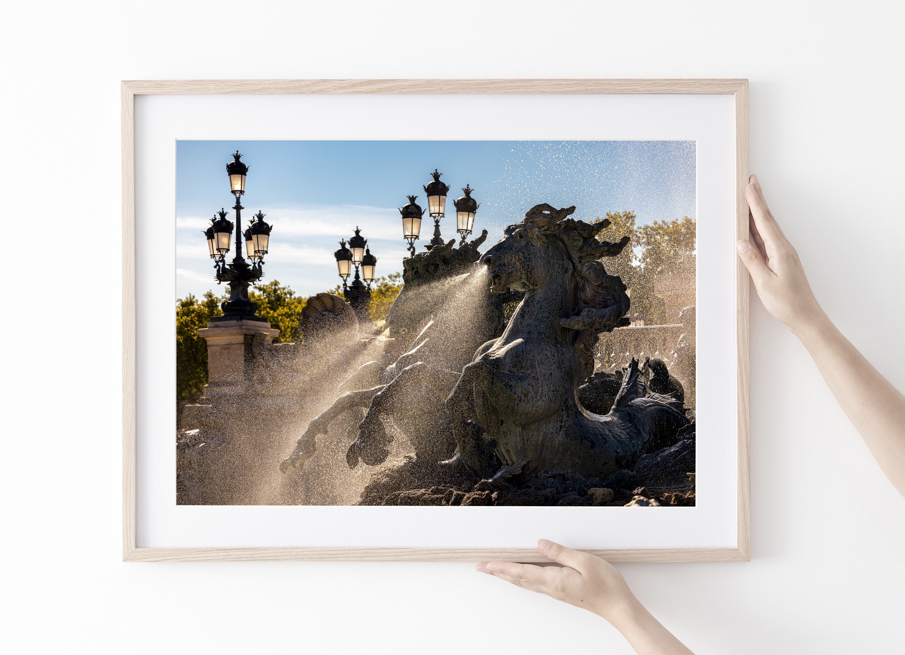 Tirage Édition Limitée - Chevaux Des Quinconces