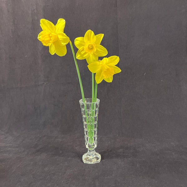 Cristal d'Arque "Soliflor" Bud Vase | Art Deco, Square-footed Pedestal Vase | 24% Lead Crystal