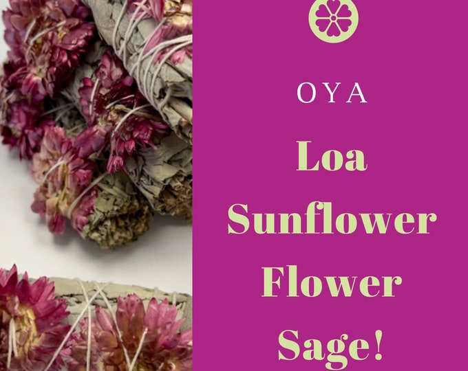 Oya Loa Sunflower Sage