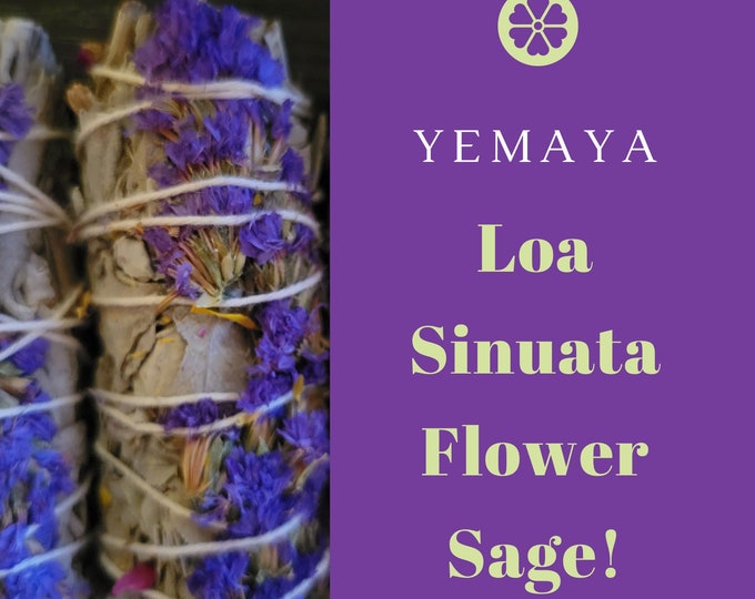 Yemaya Loa Sinuata Flower Sage