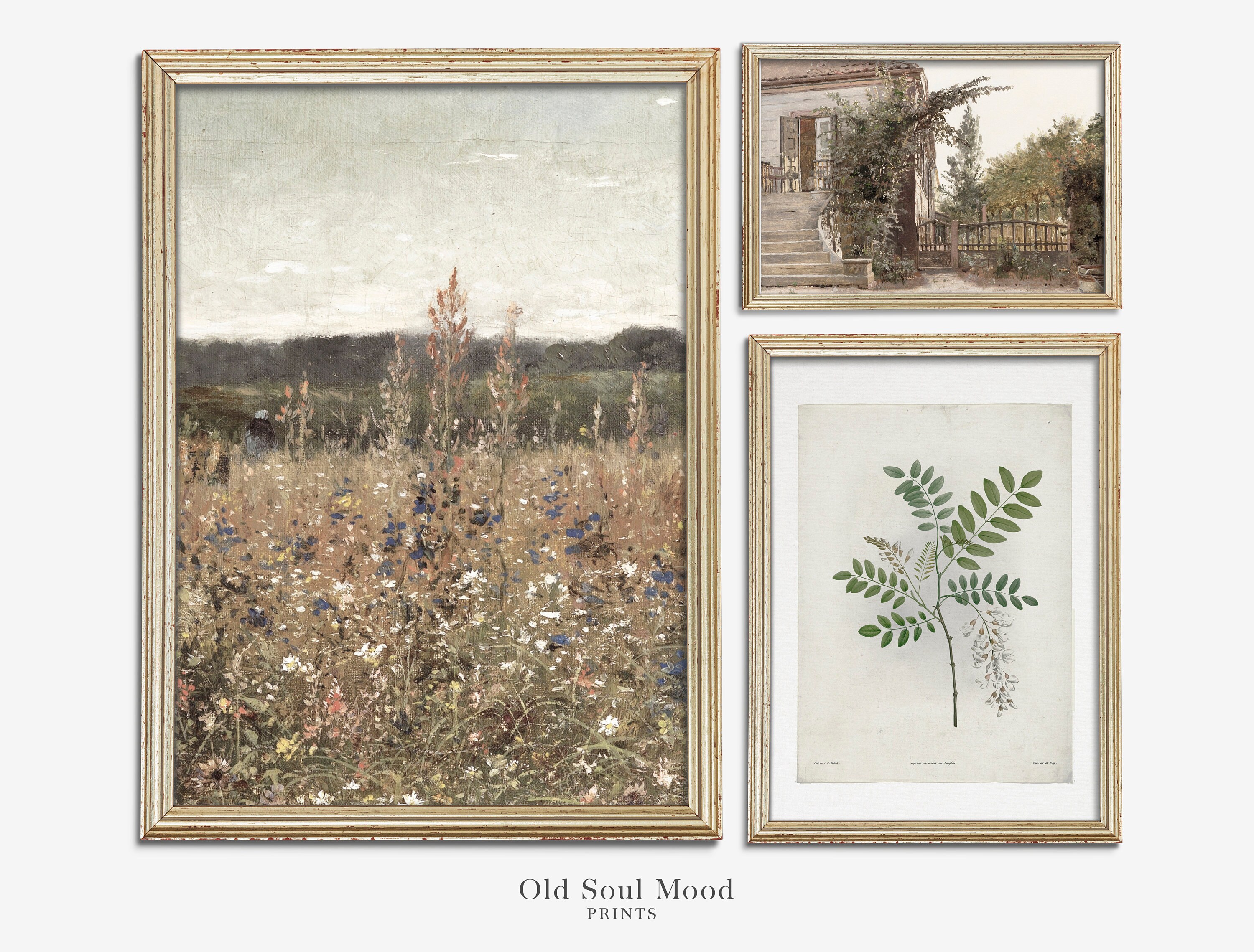 Vintage Gallery Wall Print Set of 3, Antique Flower Print