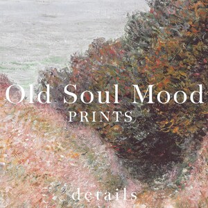 Pu&ograve; includere: Un dipinto di un paesaggio con un'estensione d'acqua sullo sfondo e un campo di fiori in primo piano. Il testo "Old Soul Mood Prints" &egrave; al centro dell'immagine.