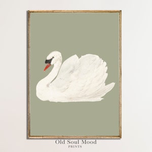 Pode incluir: Um cisne branco com bico vermelho e olhos pretos é retratado em estilo aquarela sobre um fundo verde-sábio. A imagem é emoldurada com uma moldura dourada.