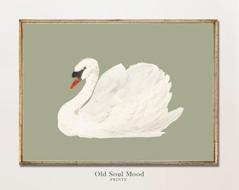Witte Zwaan Vintage schilderij, salie grijze olieverfschilderij, zwarte zwaan kunst, gedempte groene muur kunst, antieke vogel schilderen, Swan Art afdrukbaar