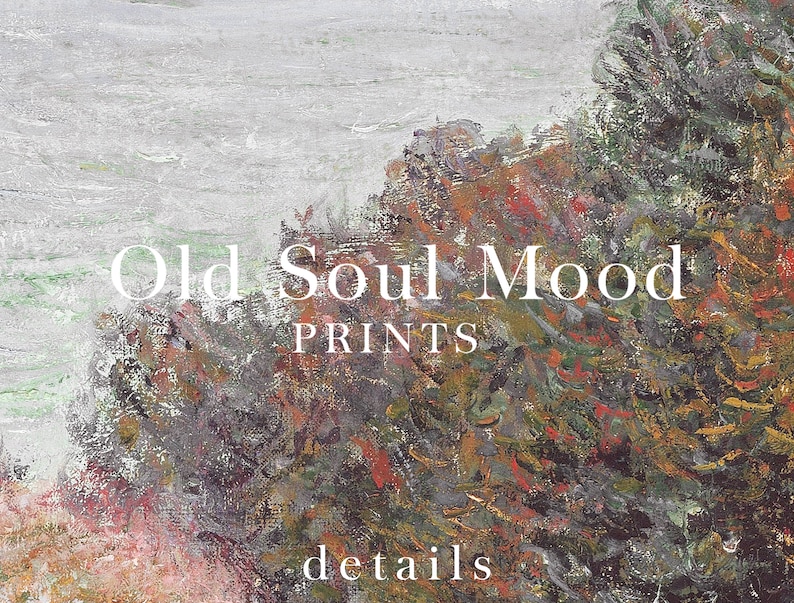 Pu&ograve; includere: Un dipinto di una scogliera rocciosa con un oceano verde e blu sullo sfondo. Il testo "Old Soul Mood Prints" &egrave; scritto in bianco sulla scogliera. Il testo "details" &egrave; scritto in bianco nella parte inferiore dell'immagine.