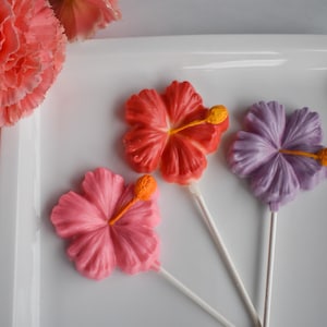 Hawaiian Chocolate Pop Tropical Hibiscus Luau | Gift Box, Sweet Treat | Handcrafted Bridal Wedding Birthday Party Favors
