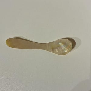 以下が含まれることがあります： 湾曲したハンドルが付いた、小さな真珠光沢のスプーン。スプーンは丸みを帯びたボウルと、軽くて虹色の光沢があります。スプーンは天然素材、おそらく真珠母貝でできており、少量のサービング用に設計されています。