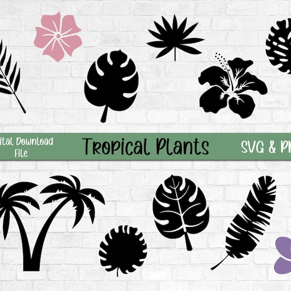 Tropical Plants Bundle SVG, Botanical Leaves PNG, Palm Tree cut file for Cricut Silhouette, Hawaiian Flower SVG, Tropical Flower Clipart