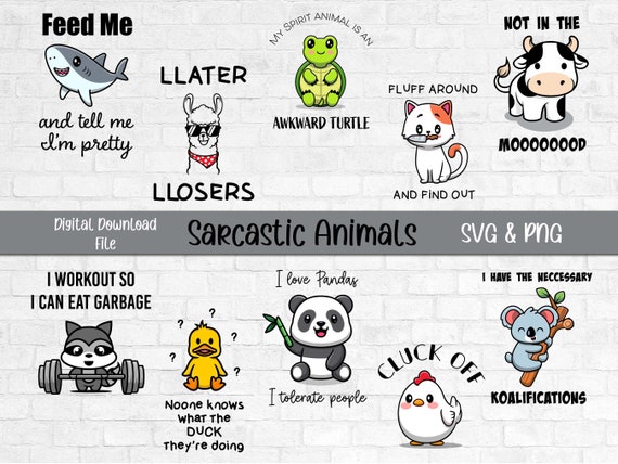 I Like Turtles Cute T Shirt Pet Sarcastic Funny Phrase Gift I Like Turtles Cute T Shirt Pet Sarcastic Funny Phrase Gift
