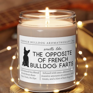French Bulldog Gifts, French Bulldog Mom, Funny Frenchie Gift, French Bulldog Candle, Frenchie Dog, French Bulldog Lover