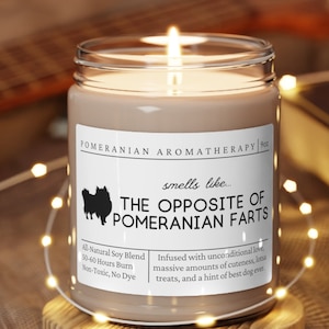 Pomeranian Gifts, Pomeranian Mom, Funny Pomeranian Gift, Pomeranian Candle, Pomeranian Dog, Pomeranian Lover, Unique Gift Pomeranian Owner