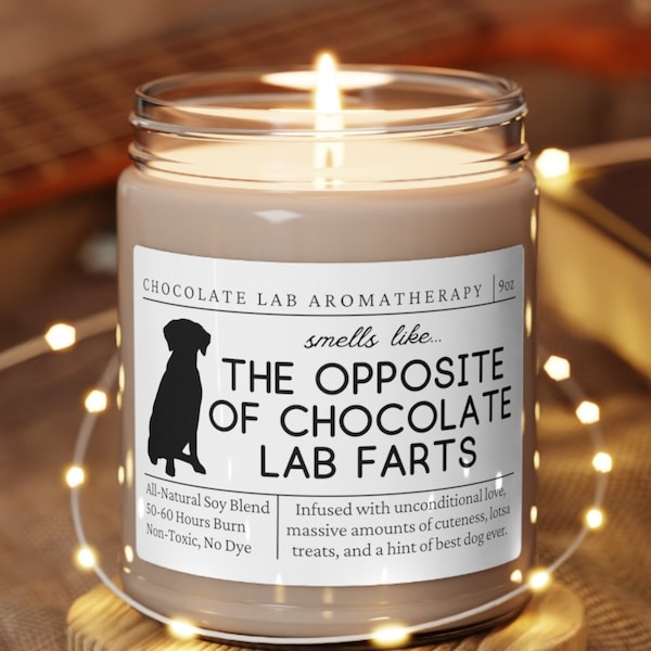 Chocolate Lab Gifts, Chocolate Lab Mom, Funny Chocolate Lab Gift, Lab Candle, Chocolate Lab Lover, Chocolate Lab Mother's Day Gift