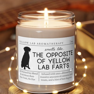 Yellow Lab Gifts, Yellow Lab Candle, Yellow Lab Mom, Funny Yellow Labrador Gift, Yellow Lab Dog, Smells Like the Opposite of, Mother's Day