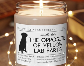 Yellow Lab Gifts, Yellow Lab Candle, Yellow Lab Mom, Funny Yellow Labrador Gift, Yellow Lab Dog, Smells Like the Opposite of, Fathers Day
