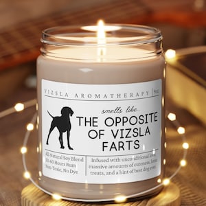 Vizsla Gifts, Vizsla Mom, Funny Vizsla Gift, Vizsla Candle, Gift for Vizsla Owner, Unique Gift for Vizsla Lover, Vizsla Mother's Day Gift