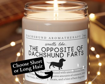 Dachshund Gifts, Dachshund Mom, Wiener Dog Gift, Dachshund Candle, Long Hair Dachshund, Short Hair Dachshund, Dog Gift, Mother's Day Gift