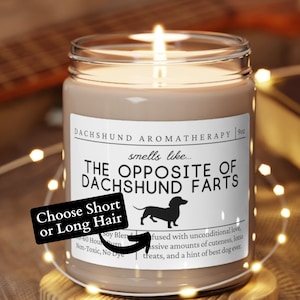 Dachshund Gifts, Dachshund Mom, Wiener Dog Gift, Dachshund Candle, Long Hair Dachshund, Short Hair Dachshund, Dog Gift, Mother's Day Gift