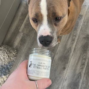 Pit Bull Gifts, Pitbull Mom, Pitty Dog Mom, Funny Pitbull Gift, Pitbull Candle, Pit bull Owner, Pitbull Lover, Pit Bull Mother's Day Gift image 4