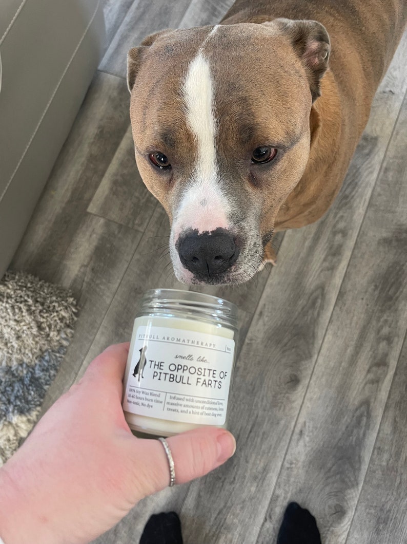 Pit Bull Gifts, Pitbull Mom, Pitty Dog Mom, Funny Pitbull Gift, Pitbull Candle, Pit bull Owner, Pitbull Lover, Pit Bull Mother's Day Gift image 4