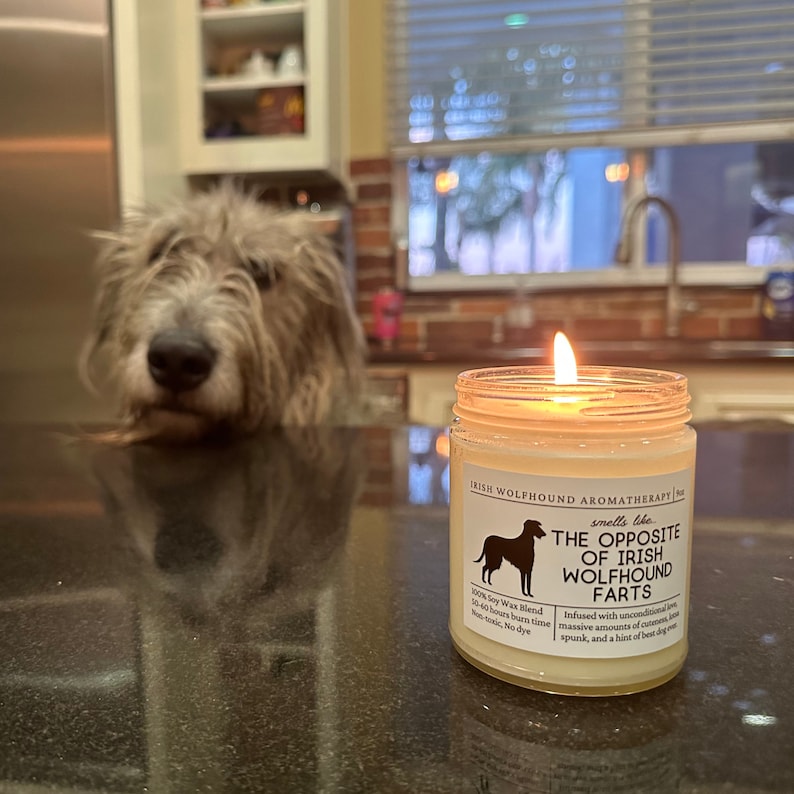 May include: A burning candle in a glass jar with a label that says "THE OPPOSITE OF IRISH WOLFHOUND FARTS." The label shows a dog silhouette. A fluffy Irish Wolfhound dog is visible in the background.