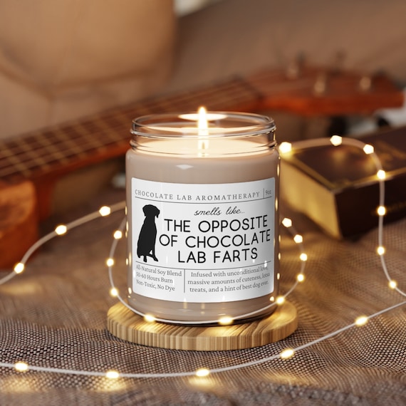 Chocolate Lab Gifts, Chocolate Lab Mom, Funny Chocolate Lab Gift, Lab Candle, Chocolate Lab Lover, Chocolate Lab Farts, Christmas Gift