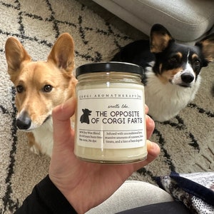 Corgi Gifts, Corgi Mom, Funny Corgi Gift, Corgi Candle, Corgi Dog, Corgi Lover, Unique Gift for Corgi Owner, Corgi Mother's Day Gift image 2