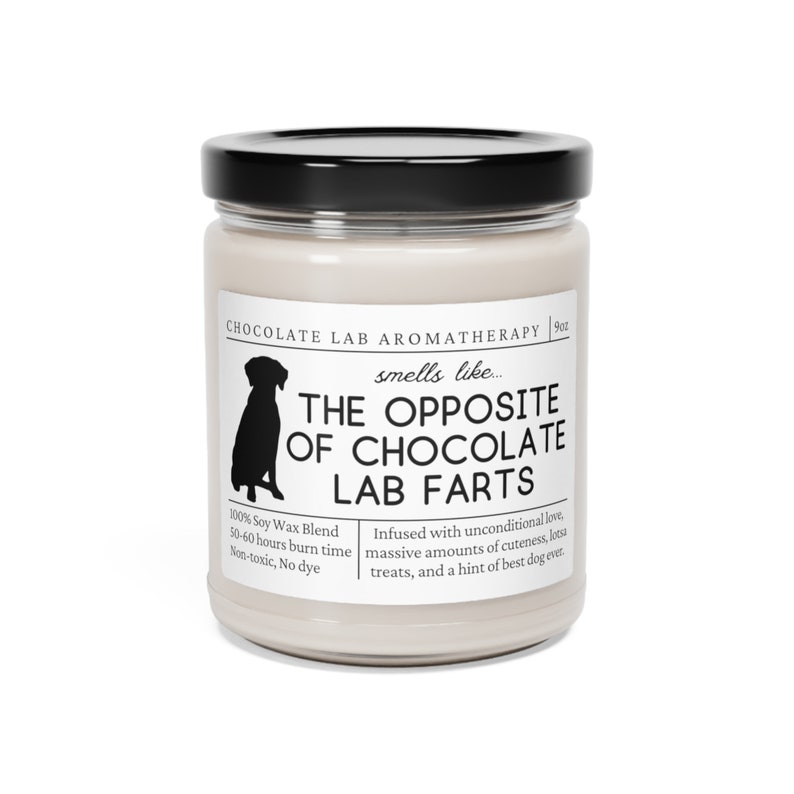 Chocolate Lab Gifts Chocolate Lab Mom Funny Chocolate Lab Etsy