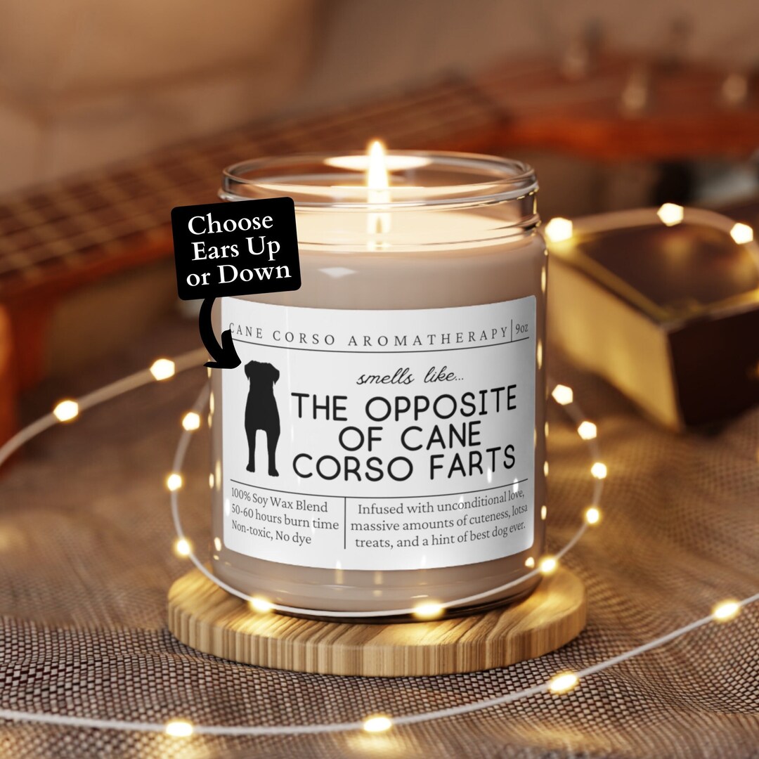 Cane Corso Gifts, Cane Corso Mom, Funny Italian Mastiff Gift, Cane