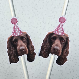 Foto personalizada, pajitas para mascotas, cumpleaños, perro, decoración de fiesta, imagen personalizada, Pawty