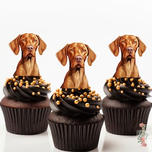 Hungarian Vizsla Cupcake Toppers Party Decoration