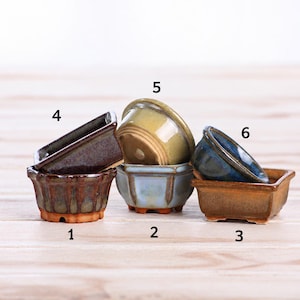 May include: A collection of six small ceramic bonsai pots in various shapes and glaze finishes, including brown, blue, and tan tones. The pots are numbered one through six, featuring distinct rim designs, footed bases, and glossy, textured surfaces.