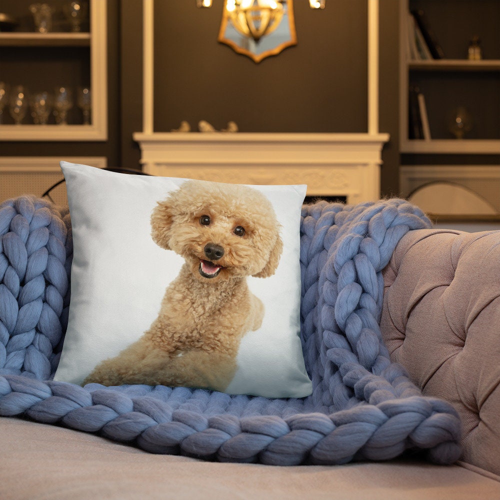 Coussin Classique 3 Tailles Au Choix Collection Les Toutous 2