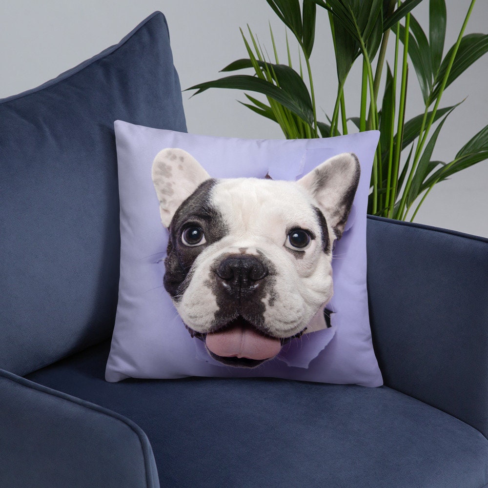 Coussin 3 Tailles Au Choix Collection Les Toutous 5