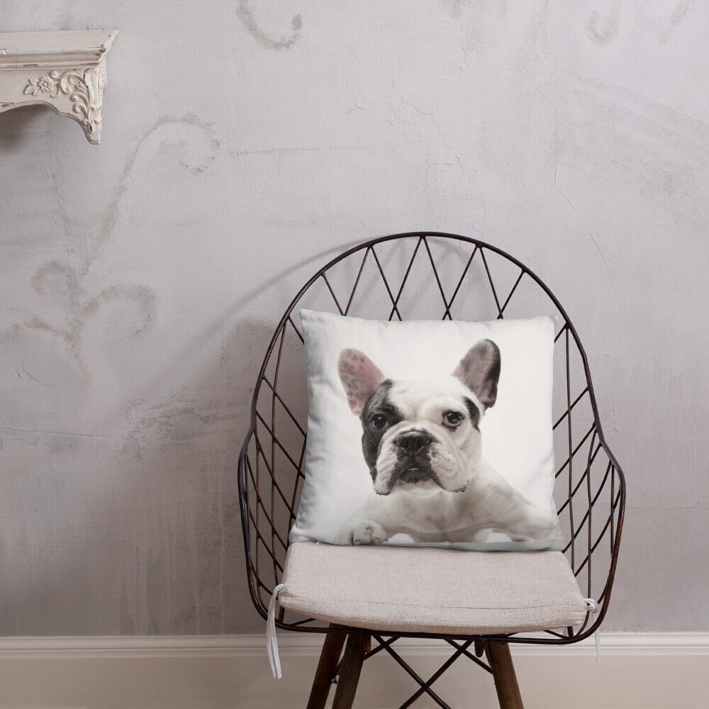 Coussin 3 Tailles Au Choix Collection Les Toutous 1