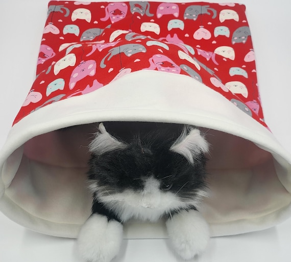 Kitten bag new arrivals